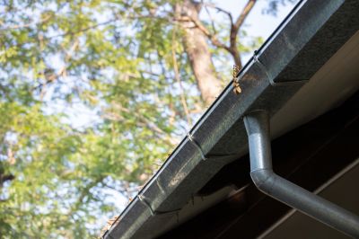 Debris-Free Downspouts