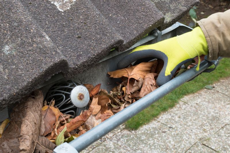 Professional Gutter Maintenance