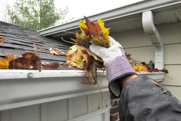 Cost of Clogged Gutter Clearing in Appleton