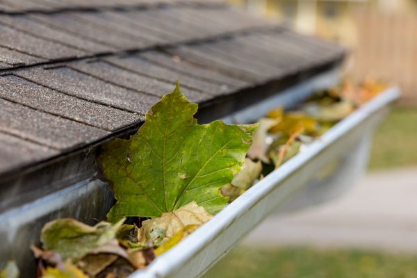 Gutter System Cleaning in Appleton