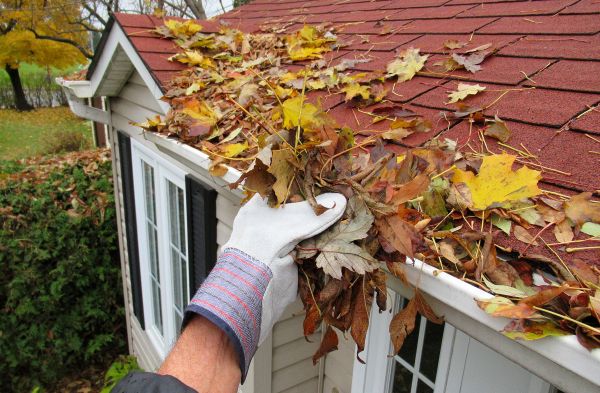 Emergency Gutter Cleaning in Appleton