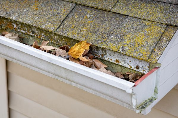 Cost of Garage Gutter Cleaning in Appleton